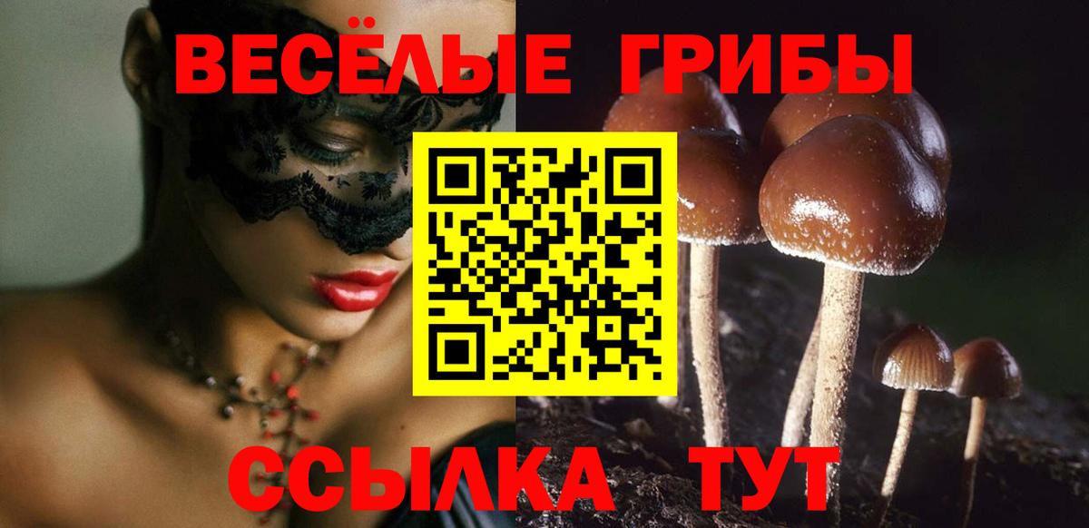 Урай  Галлюциногенные грибы прущие грибы  Вход с VPN 